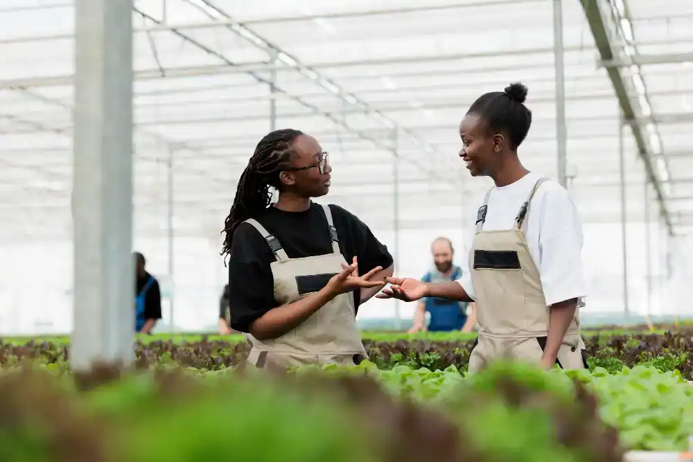 Reimagining Industrial Growth in Africa: The Feasibility Study Revolution